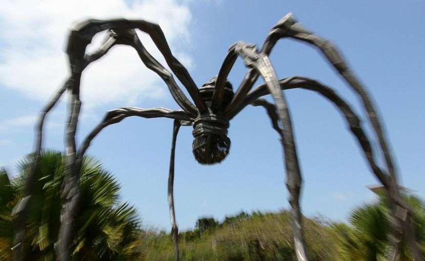 Aranha